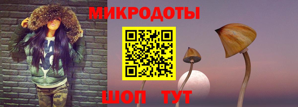 где купить   Вход с VPN  Краснодар  Галлюциногенные грибы Psilocybe  Галлюциногенные грибы MAGIC MUSHROOMS 
